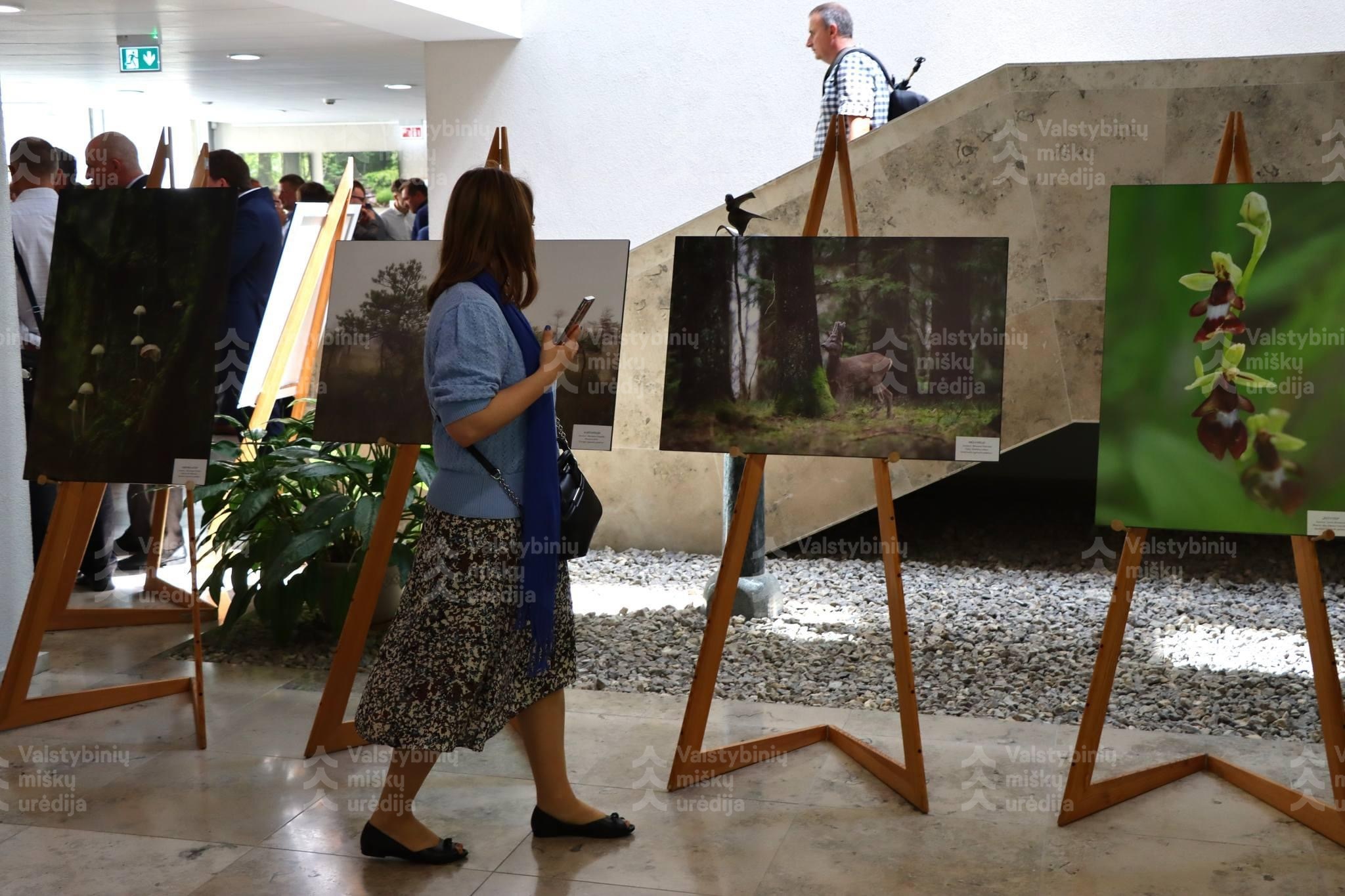 Gamtos vertybės miškininko akimis